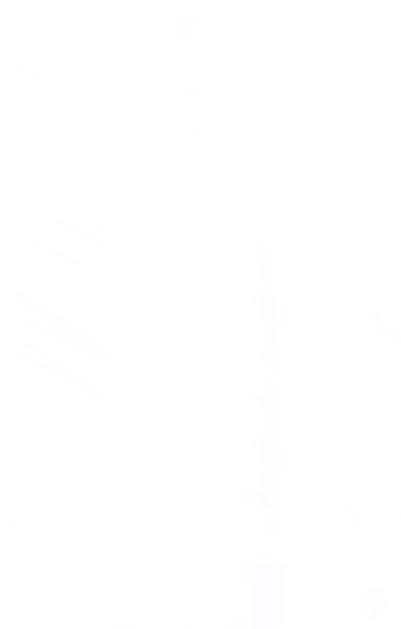 Darkwing Duck #1 Blank